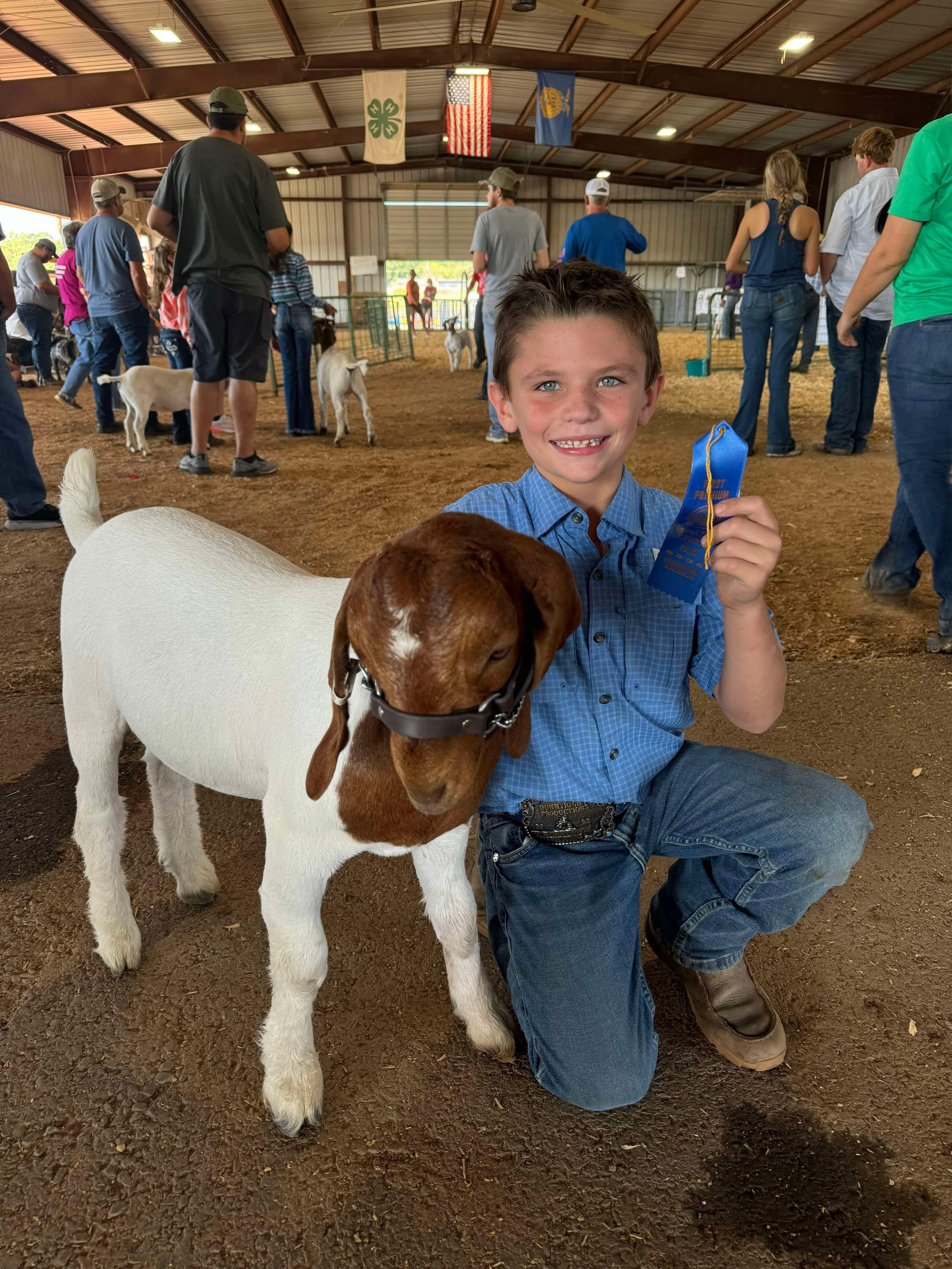 African Boer Goat